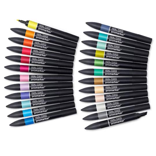 Winsor & Newton® ProMarker™ Arts & Illustration Marker Set